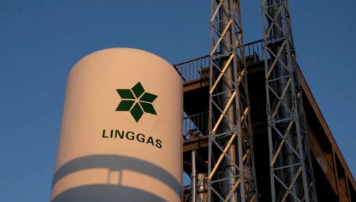 绿菱气体年产1万吨高纯电子特气项目技术服务公示