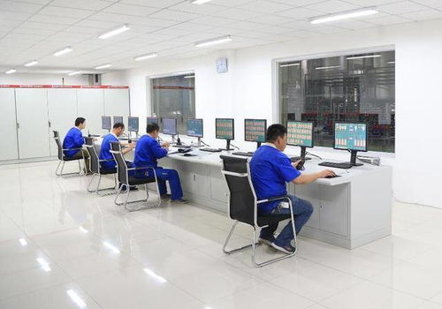 功能食品配料麦芽糖醇 技术发展、市场应用与技术服务全景分析